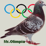 Mr.Olimpia