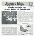 Holland újságcikk